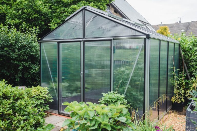 greenhouse-in-the-garden.jpg